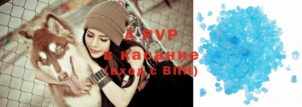 индика Абинск
