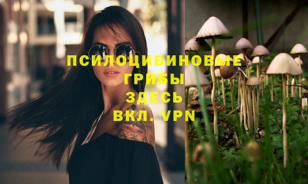 твердый Алзамай