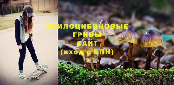 твердый Алзамай